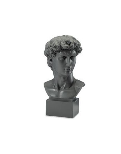 Busto piccolo David colore...